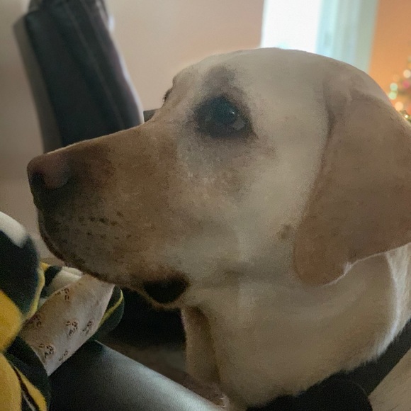 Meet your Posher, Lori - Picture 2 of 6